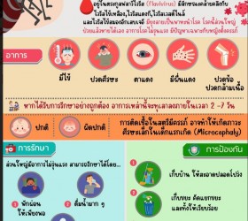 มาตรการเฝ้าระวังและผลกระทบต่อสุขภาพจากโรคติดเชื้อไวรัสซิกา