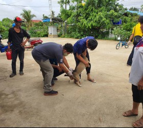 โครงการป้องกันและควบคุมโรคพิษสุนัขบ้า ประจำปีงบประมาณ 2563