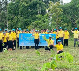 ปลูกป่าตามโครงการอำเภอป่าติ้ว บำบัดทุกข์  บำรุงสุข น้อมนำหลักปรัชญาเศรษฐกิจพอเพียง  มาเป็นหลักในการดำเนินชีวิต  เฉลิมพระเกียรติพระบาทสมเด็จพระเจ้าอยู่หัวเนื่องในโอกาสครบ 6 รอบ 72 พรรษา 